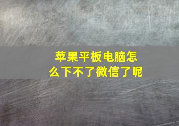 苹果平板电脑怎么下不了微信了呢