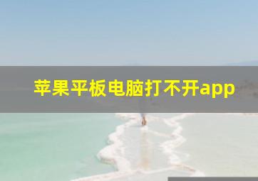 苹果平板电脑打不开app