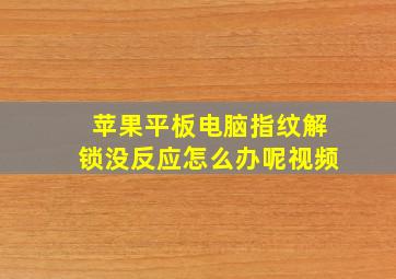 苹果平板电脑指纹解锁没反应怎么办呢视频