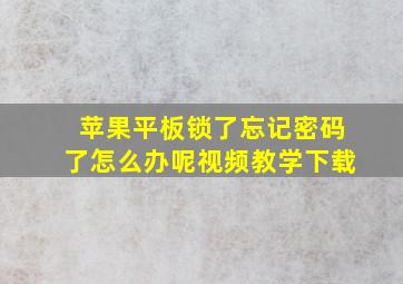 苹果平板锁了忘记密码了怎么办呢视频教学下载