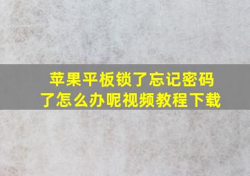 苹果平板锁了忘记密码了怎么办呢视频教程下载