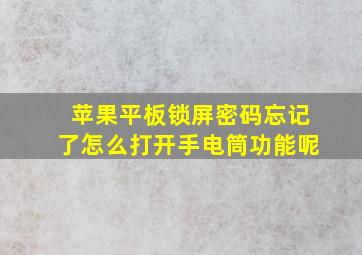 苹果平板锁屏密码忘记了怎么打开手电筒功能呢