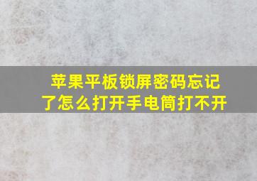 苹果平板锁屏密码忘记了怎么打开手电筒打不开