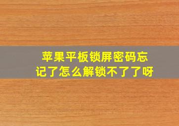 苹果平板锁屏密码忘记了怎么解锁不了了呀