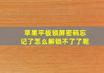 苹果平板锁屏密码忘记了怎么解锁不了了呢