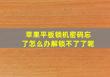 苹果平板锁机密码忘了怎么办解锁不了了呢