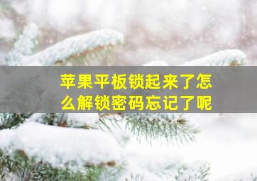 苹果平板锁起来了怎么解锁密码忘记了呢