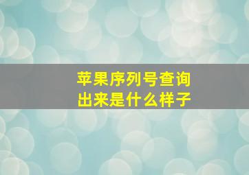 苹果序列号查询出来是什么样子