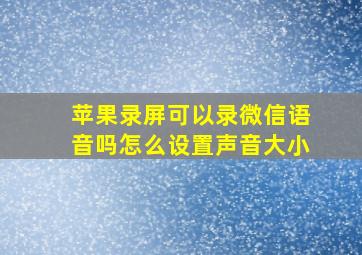 苹果录屏可以录微信语音吗怎么设置声音大小