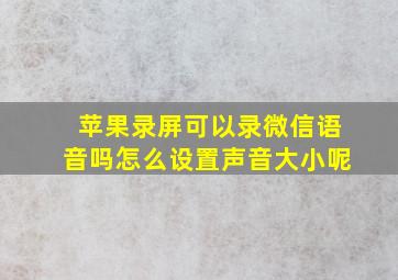 苹果录屏可以录微信语音吗怎么设置声音大小呢