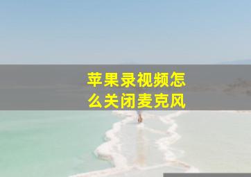 苹果录视频怎么关闭麦克风