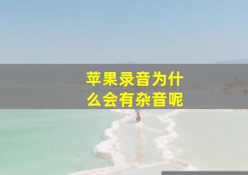 苹果录音为什么会有杂音呢