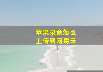 苹果录音怎么上传到网易云