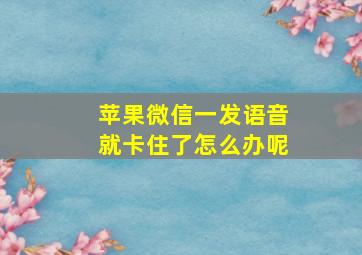 苹果微信一发语音就卡住了怎么办呢