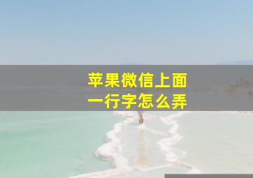 苹果微信上面一行字怎么弄