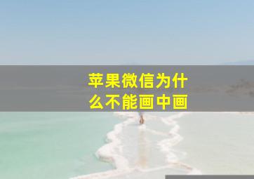 苹果微信为什么不能画中画