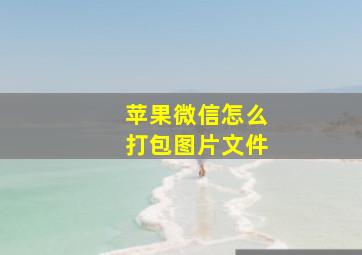 苹果微信怎么打包图片文件