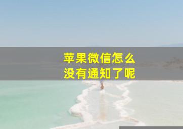 苹果微信怎么没有通知了呢