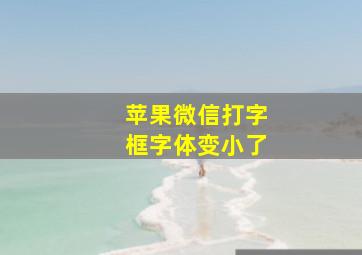 苹果微信打字框字体变小了