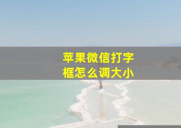 苹果微信打字框怎么调大小