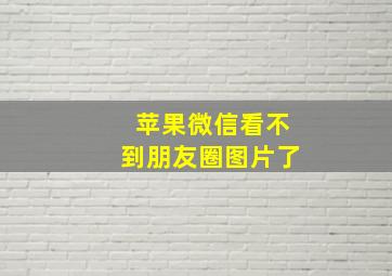 苹果微信看不到朋友圈图片了