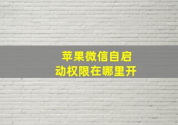 苹果微信自启动权限在哪里开