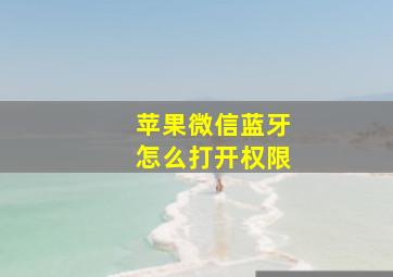 苹果微信蓝牙怎么打开权限