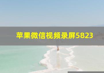 苹果微信视频录屏5823