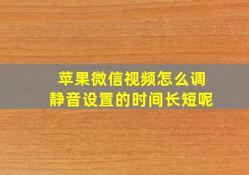 苹果微信视频怎么调静音设置的时间长短呢