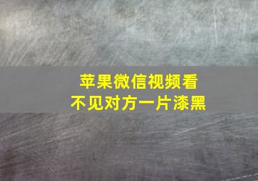 苹果微信视频看不见对方一片漆黑