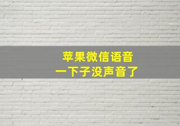 苹果微信语音一下子没声音了