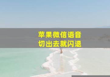 苹果微信语音切出去就闪退