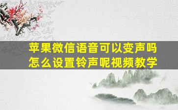 苹果微信语音可以变声吗怎么设置铃声呢视频教学