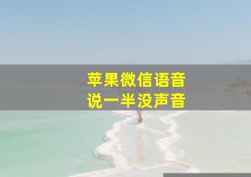 苹果微信语音说一半没声音