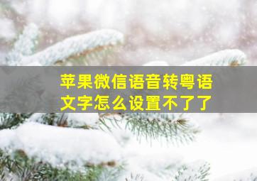 苹果微信语音转粤语文字怎么设置不了了