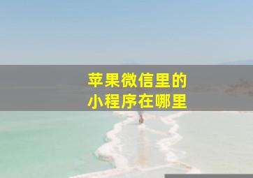 苹果微信里的小程序在哪里