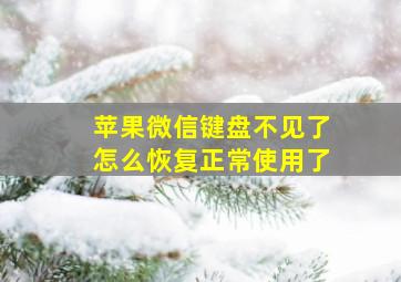 苹果微信键盘不见了怎么恢复正常使用了