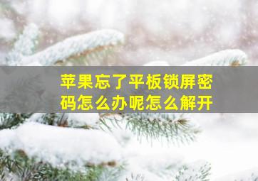 苹果忘了平板锁屏密码怎么办呢怎么解开