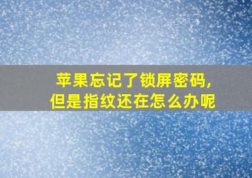 苹果忘记了锁屏密码,但是指纹还在怎么办呢