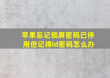 苹果忘记锁屏密码已停用但记得id密码怎么办