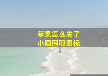 苹果怎么关了小圆圈呢图标