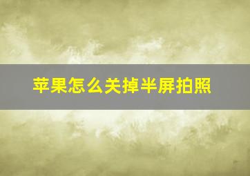 苹果怎么关掉半屏拍照