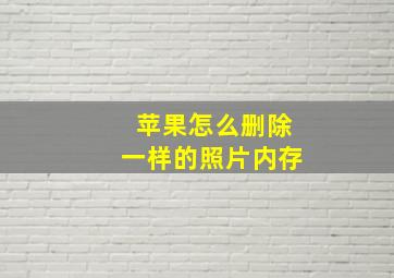 苹果怎么删除一样的照片内存