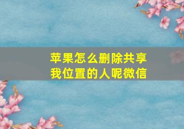 苹果怎么删除共享我位置的人呢微信