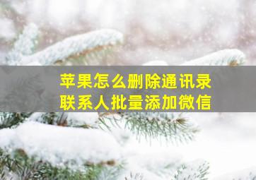 苹果怎么删除通讯录联系人批量添加微信