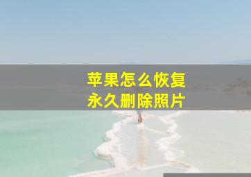 苹果怎么恢复永久删除照片