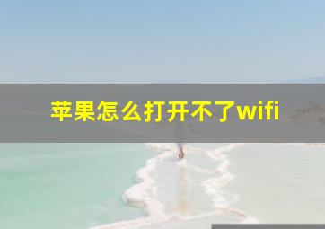 苹果怎么打开不了wifi