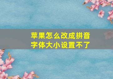 苹果怎么改成拼音字体大小设置不了