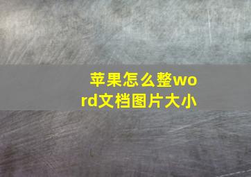 苹果怎么整word文档图片大小