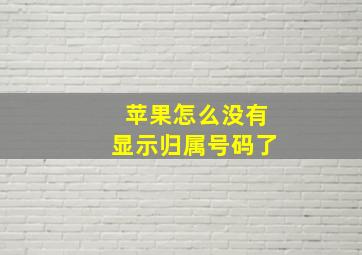 苹果怎么没有显示归属号码了